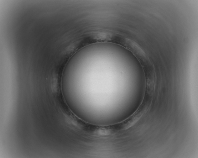 X0000111620416200907241034