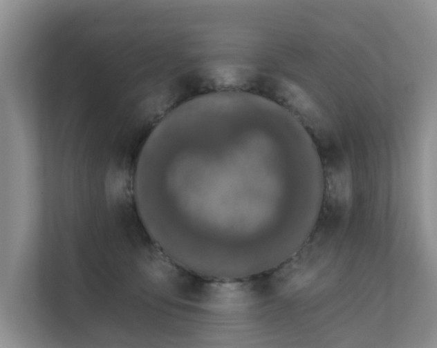 X0000111620419200907241034