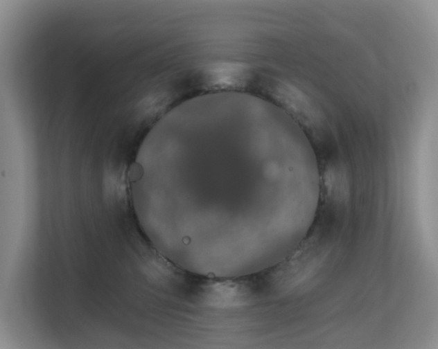 X0000111620423200907241034
