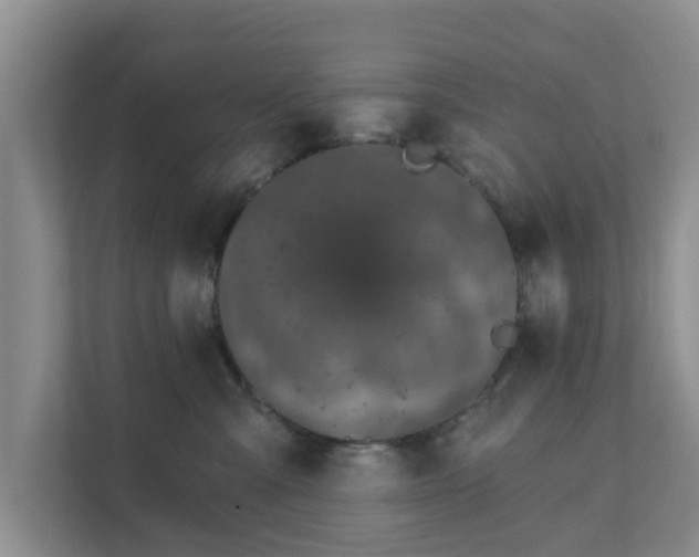X0000111620427200907241034