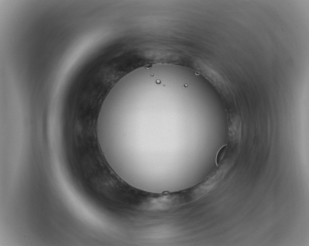 X0000111620430200907241034