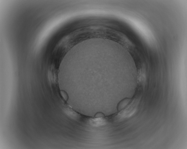 X0000111620431200907241034