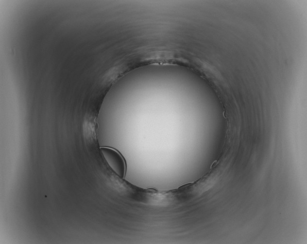 X0000111620432200907241034