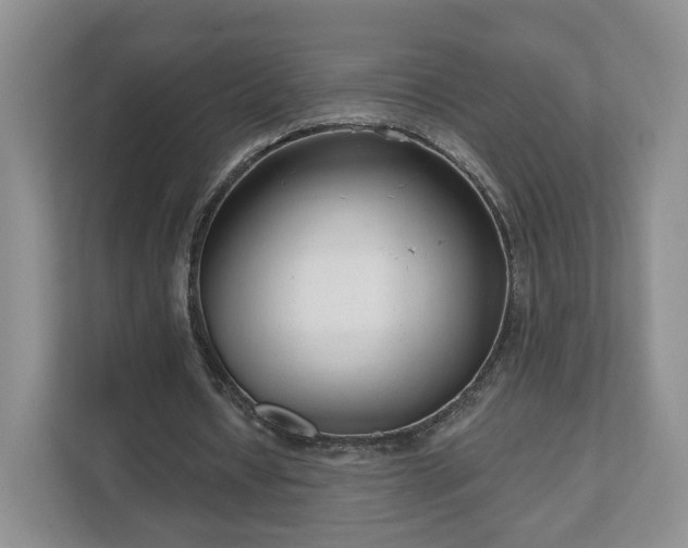 X0000111620434200907241033