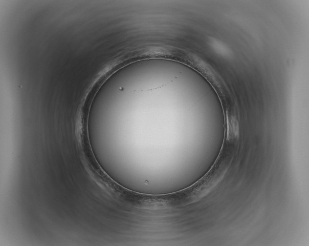 X0000111620435200907241033