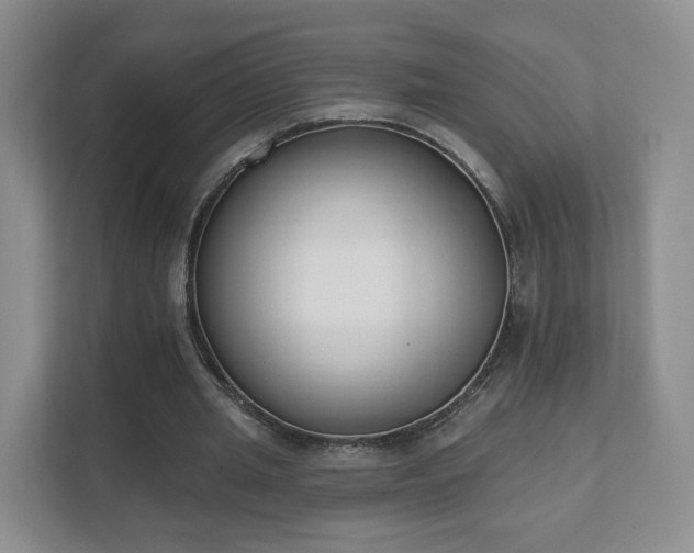 X0000111620437200907241033