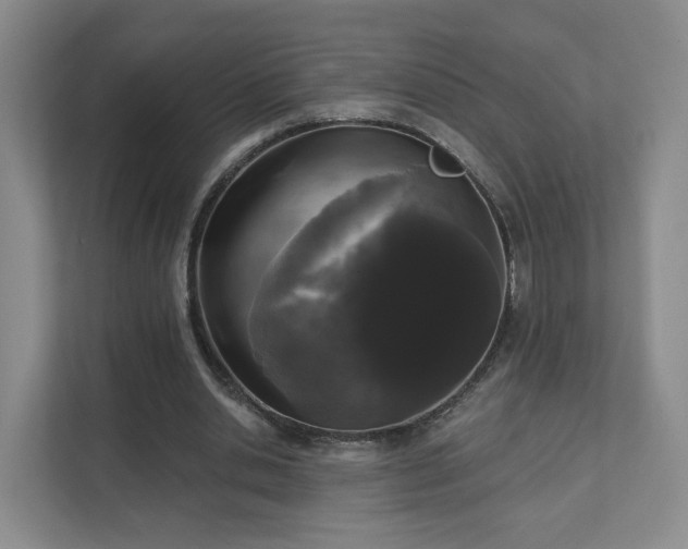 X0000111620438200907241033