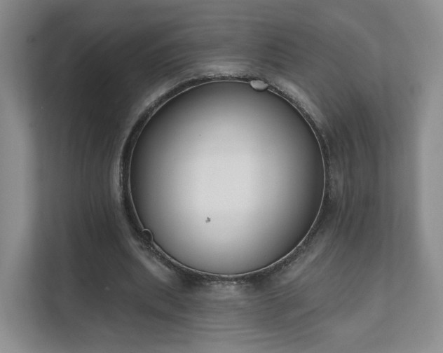 X0000111620439200907241033