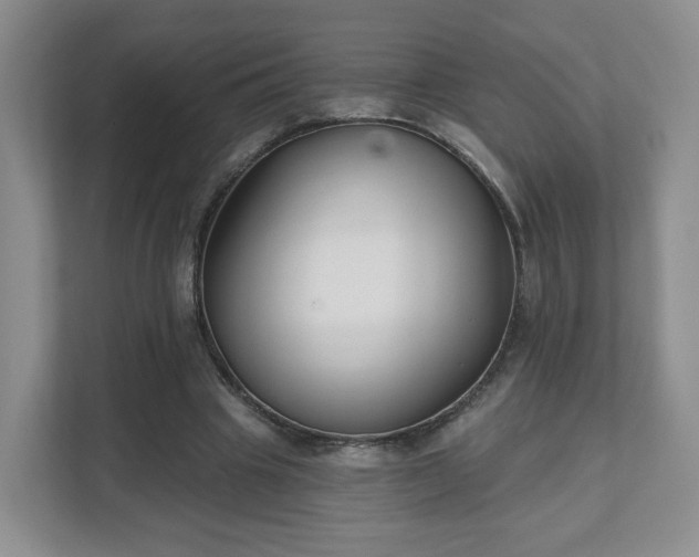 X0000111620441200907241033