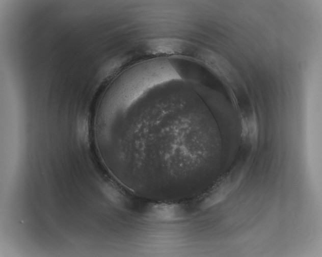 X0000111620444200907241033