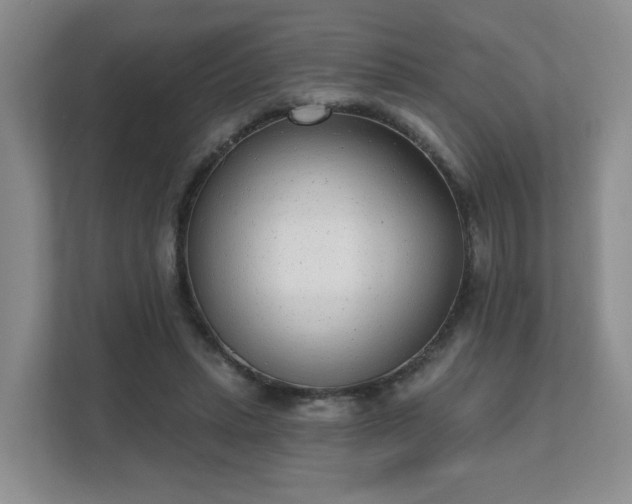 X0000111620447200907241033