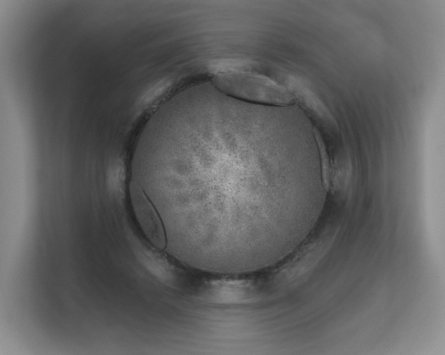 X0000111620448200907241033