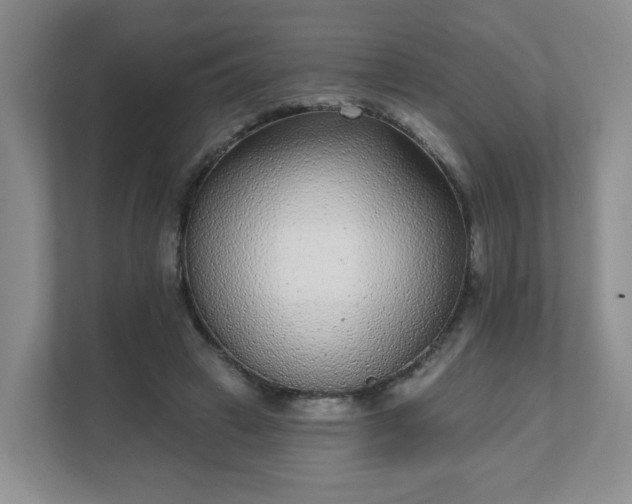 X0000111620449200907241033