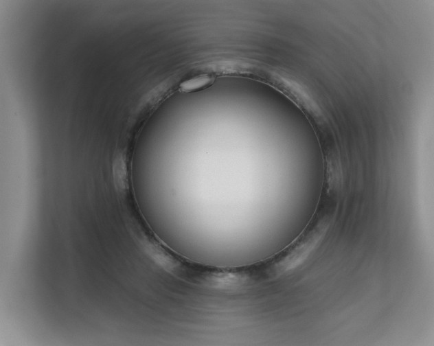 X0000111620453200907241033