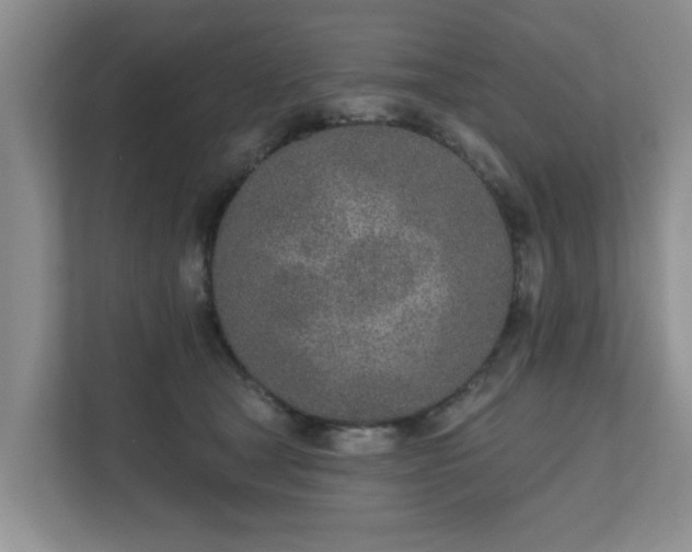 X0000111620465200907241033