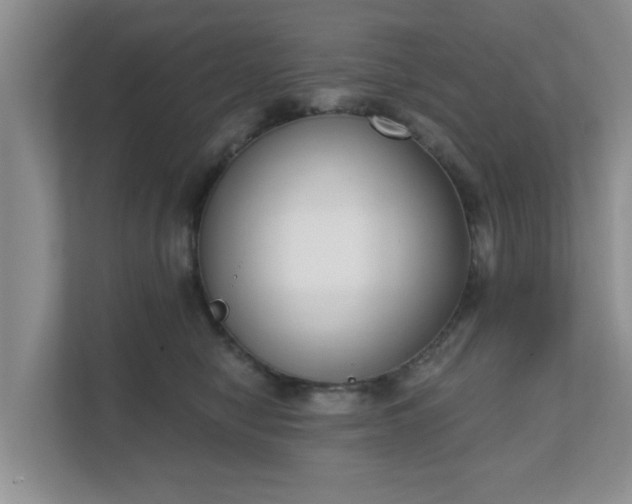 X0000111620470200907241033