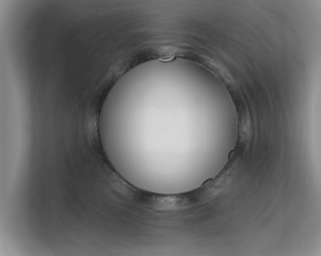X0000111620473200907241034