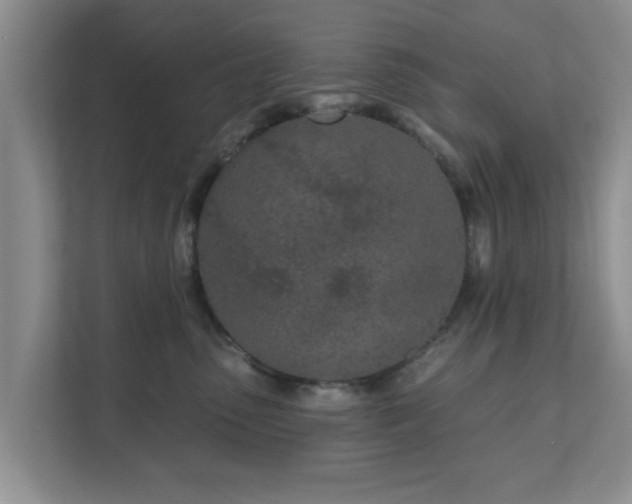 X0000111620475200907241034