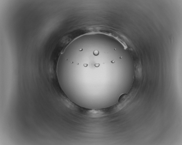 X0000111620477200907241034
