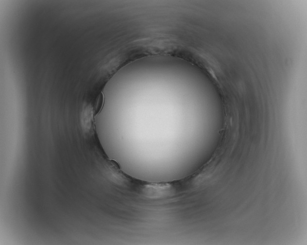 X0000111620480200907241034