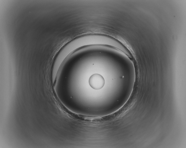X0000111620481200907241033