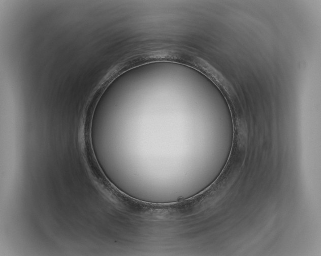 X0000111620482200907241033