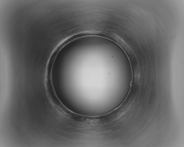 X0000111620484200907241033