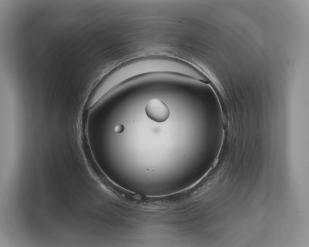 X0000111620485200907241033