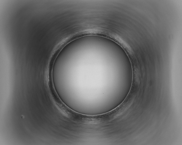 X0000111620486200907241033
