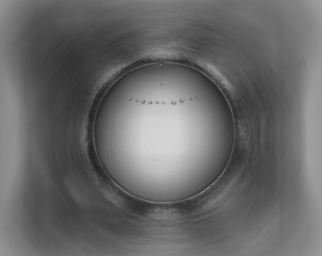 X0000111620487200907241033