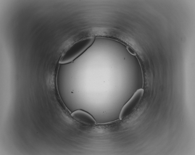 X0000111620489200907241033