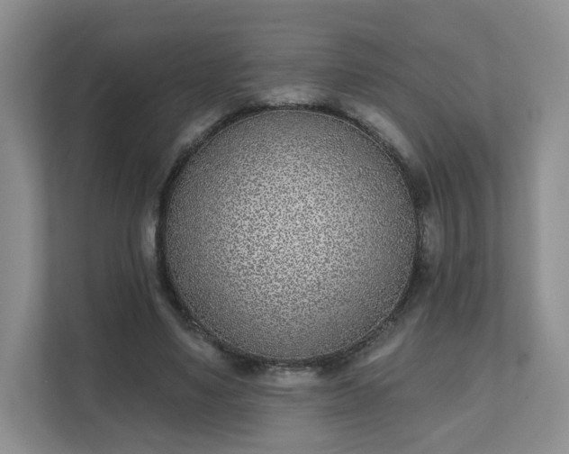 X0000111620491200907241033
