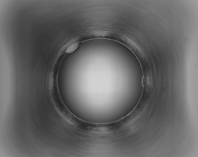 X0000111620492200907241033