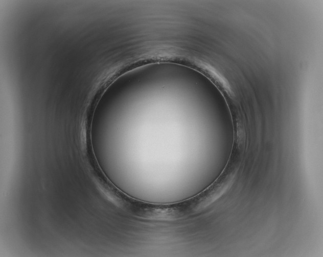 X0000111620493200907241033
