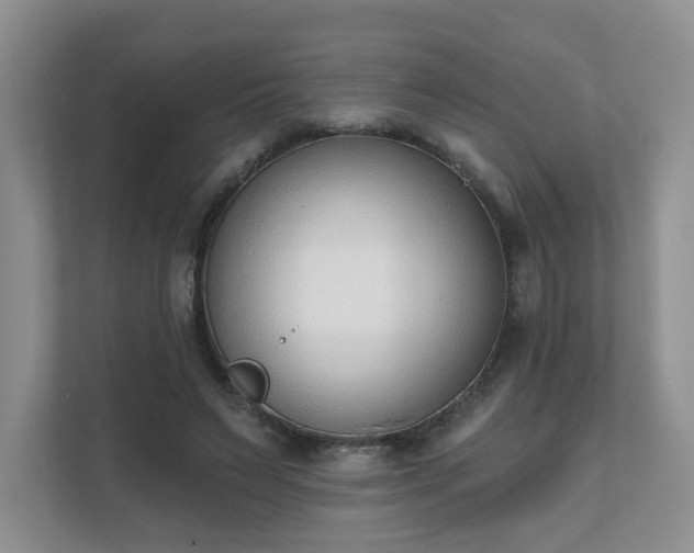 X0000111620495200907241033