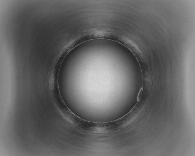 X0000111620496200907241033