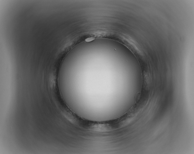 X0000111620499200907241033