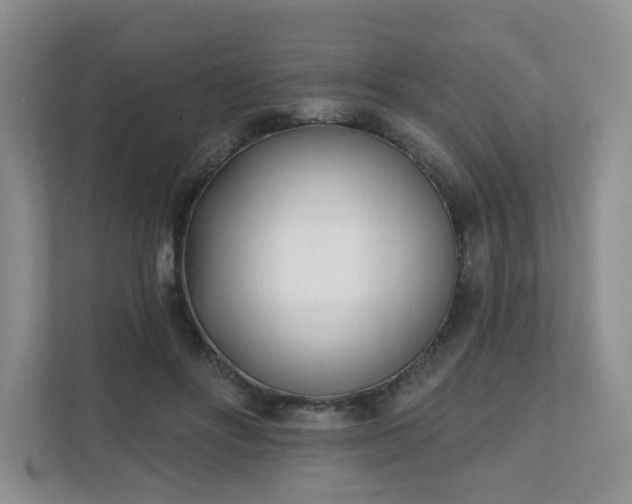 X0000111620502200907241033