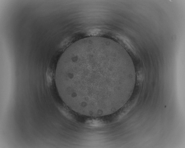X0000111620503200907241033