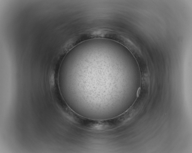 X0000111620504200907241033