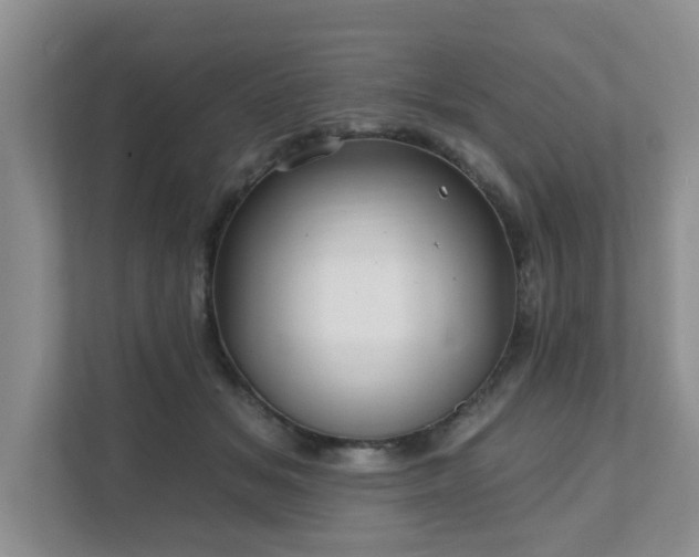 X0000111620509200907241033