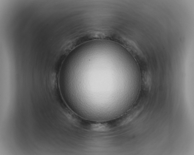 X0000111620511200907241033