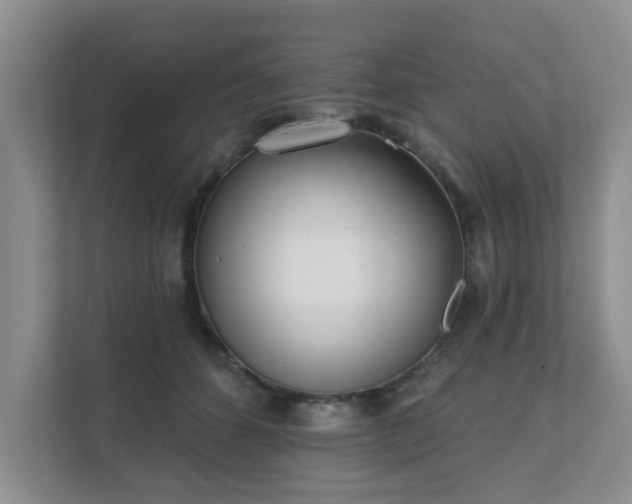 X0000111620512200907241033