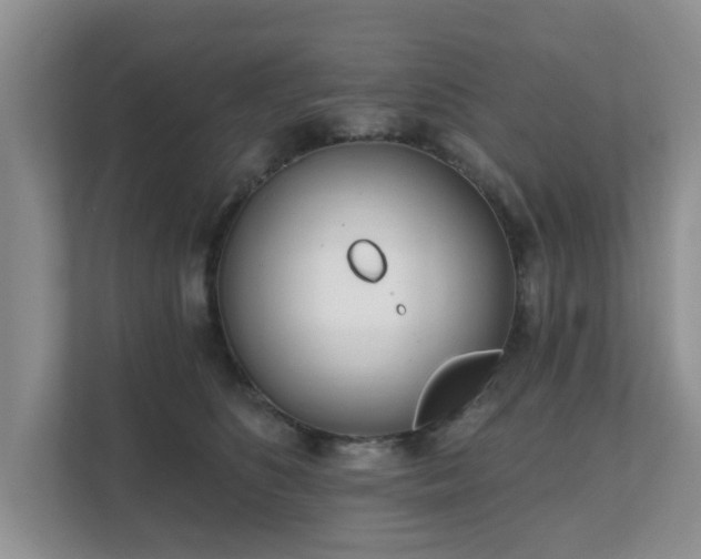 X0000111620516200907241033