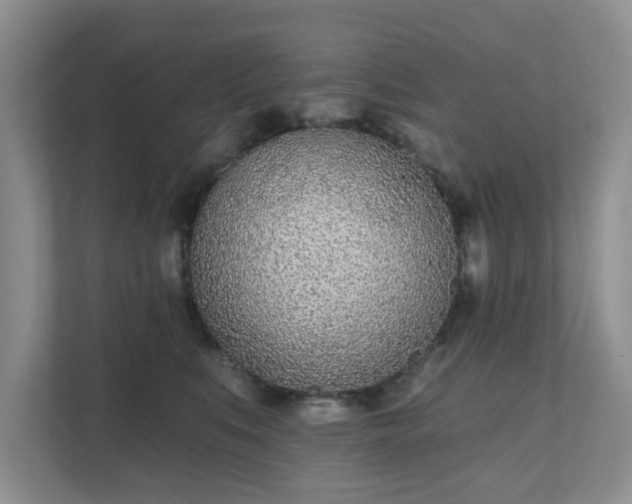 X0000111620519200907241032