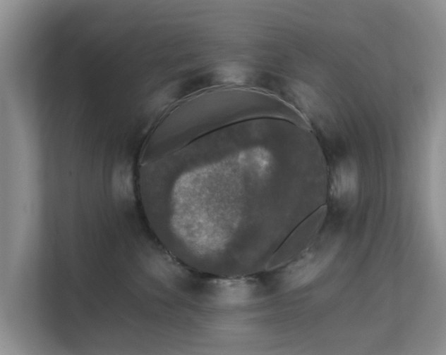 X0000111620524200907241032