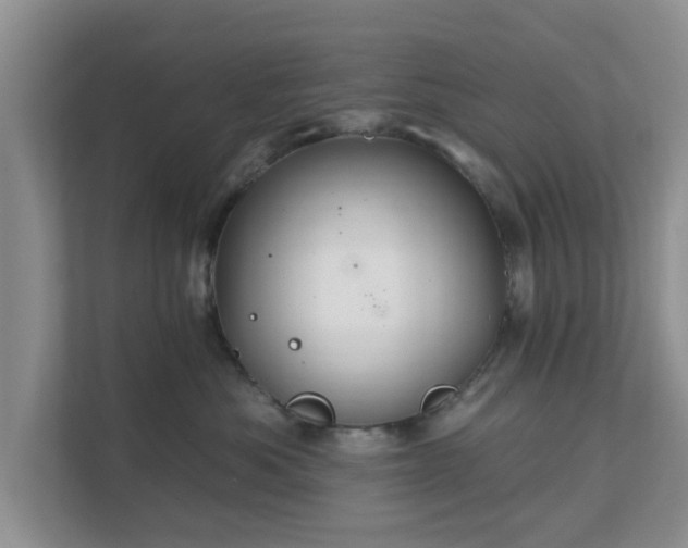 X0000111620525200907241032