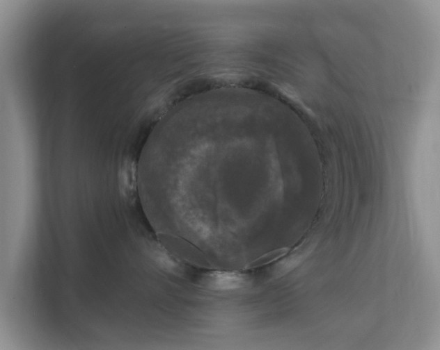 X0000111620528200907241032