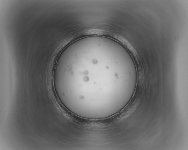 X0000111620529200907241032