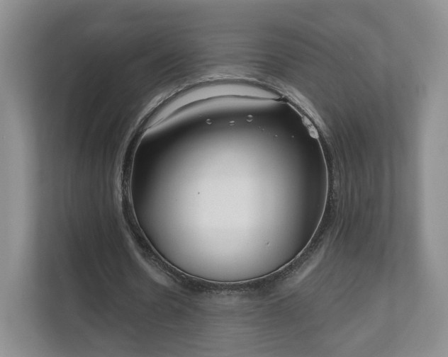 X0000111620530200907241032